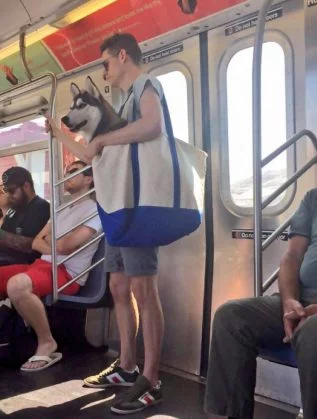 with-giant-dog-tote-bag-new-york-subway-1a-317x419.webp