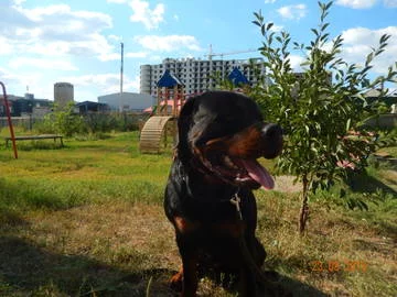 wJ9KP.webp