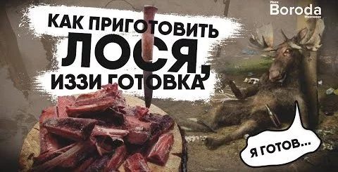 wkpF9qIt_Gshqdefault-480x245.webp