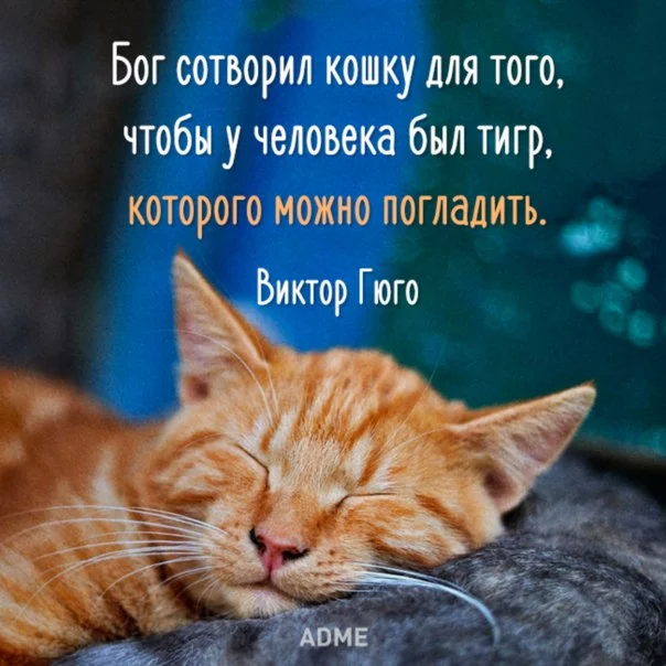 wNkH3lWx7FA.webp
