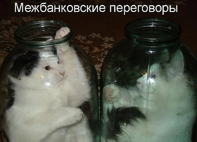 WNtJuR0IgEY.webp
