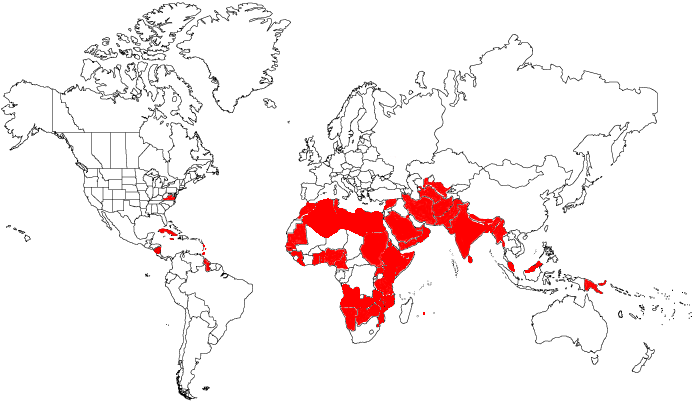 world_map_red.gif