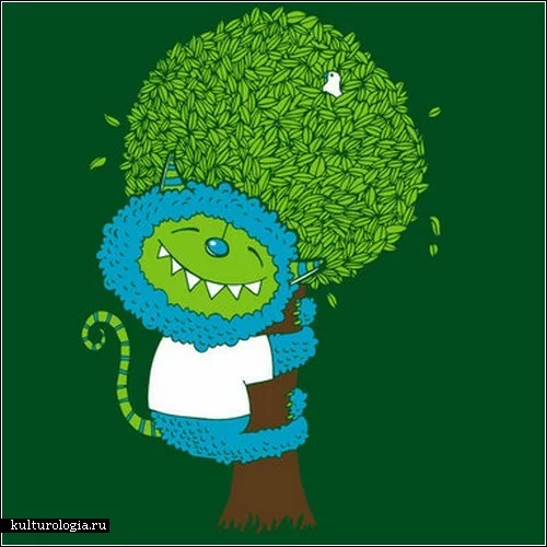 wotto_12.webp