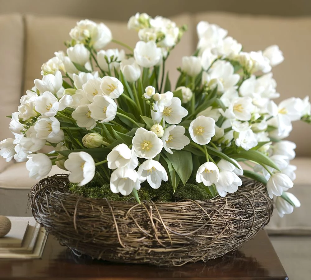 woven-nest-bowl-pottery-barn.webp