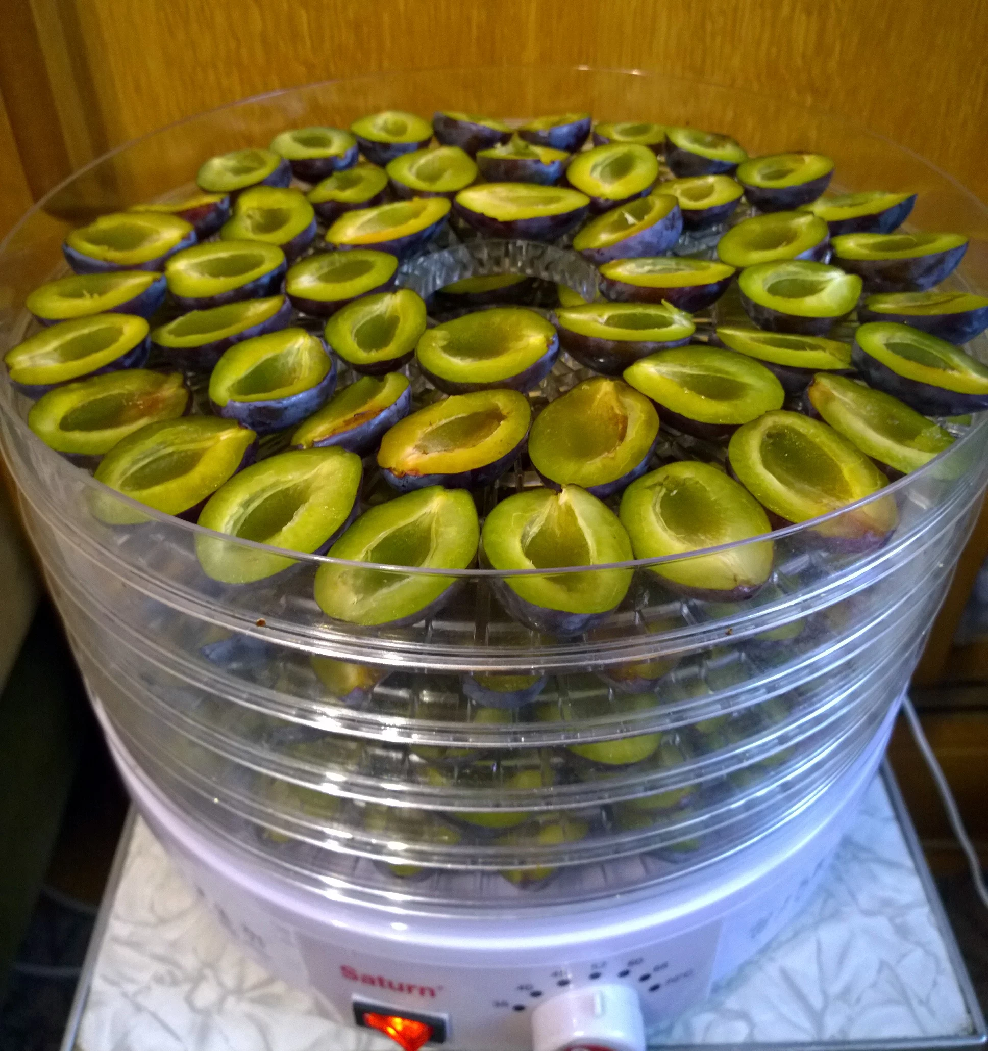 WP_20230910_001.webp