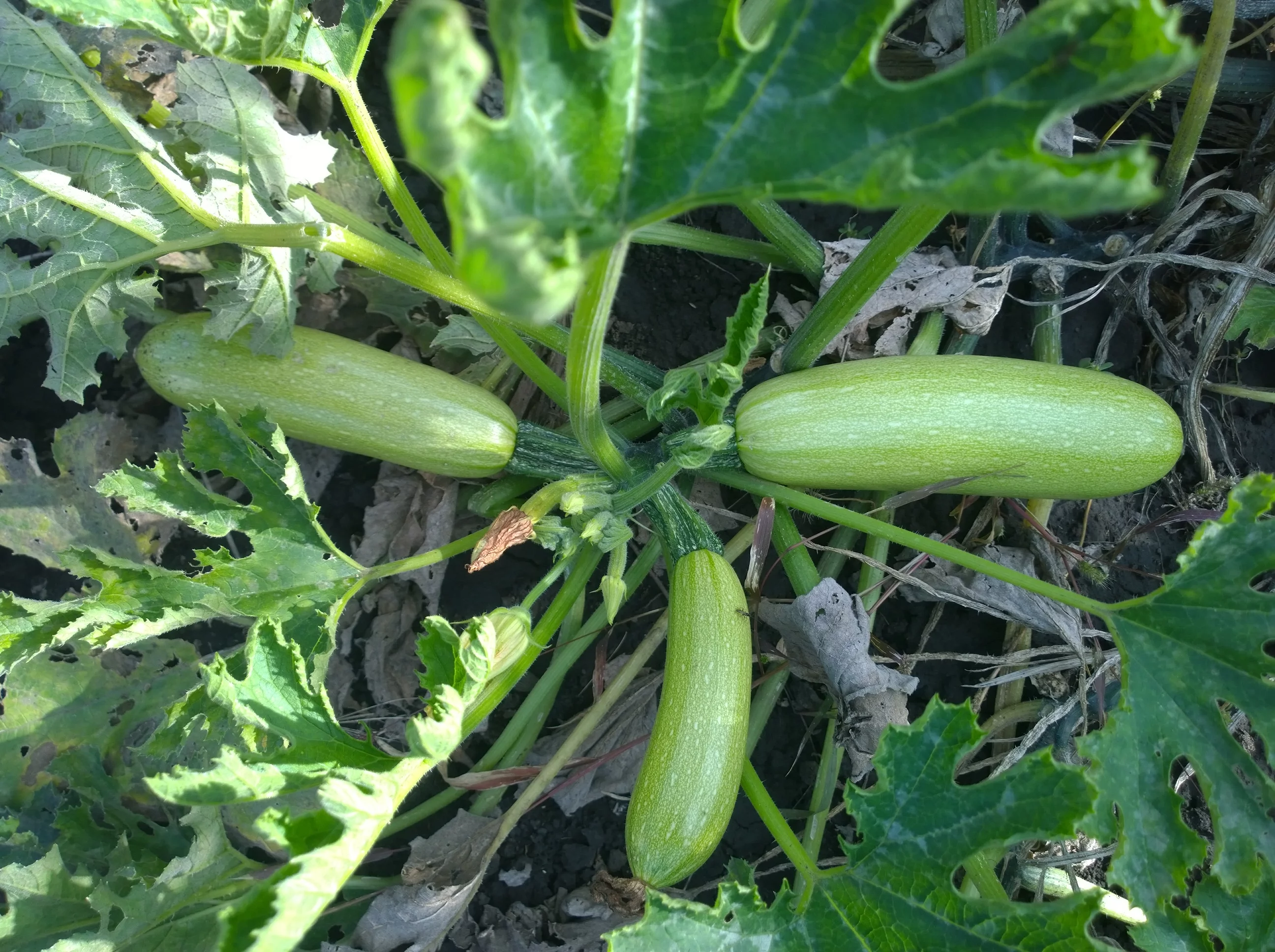 WP_20230916_005.webp