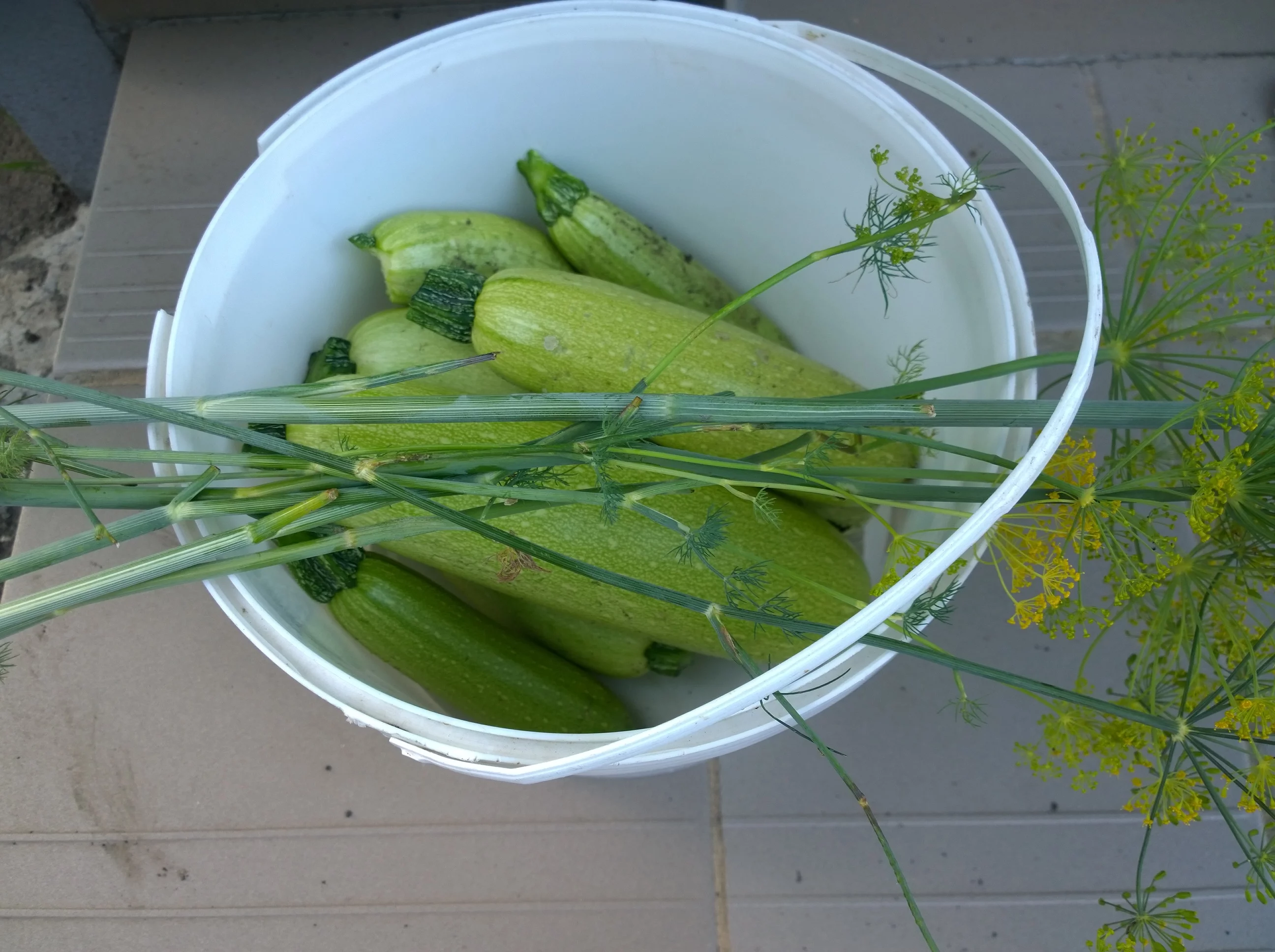 WP_20230916_037.webp