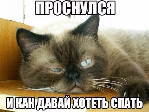 WpXFwRmQVA4.webp