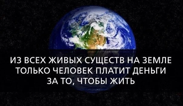 WqLCL2IRSZg.webp