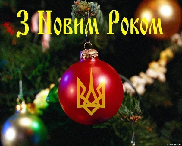 wru_XcJLuvY.webp