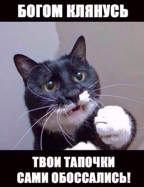 wSQhPZufmmI.webp