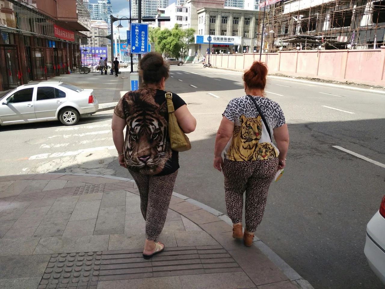 WTopZdRGhbY.webp