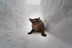 wx6bWJcSPKWGlPoNf9z5dWv5snmL3VbE3VmulpwkFT-_nj-dRQ.webp