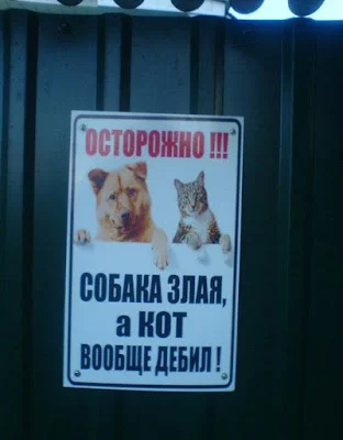 wYaBvStO5tg.webp