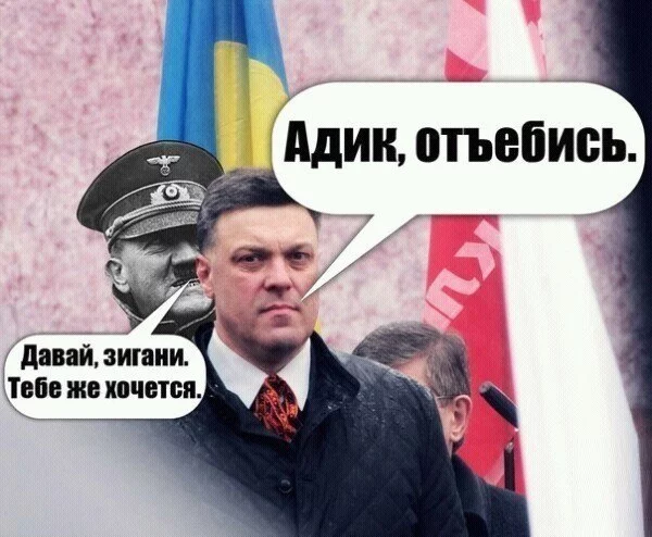 WZGnA9H8NM0.webp