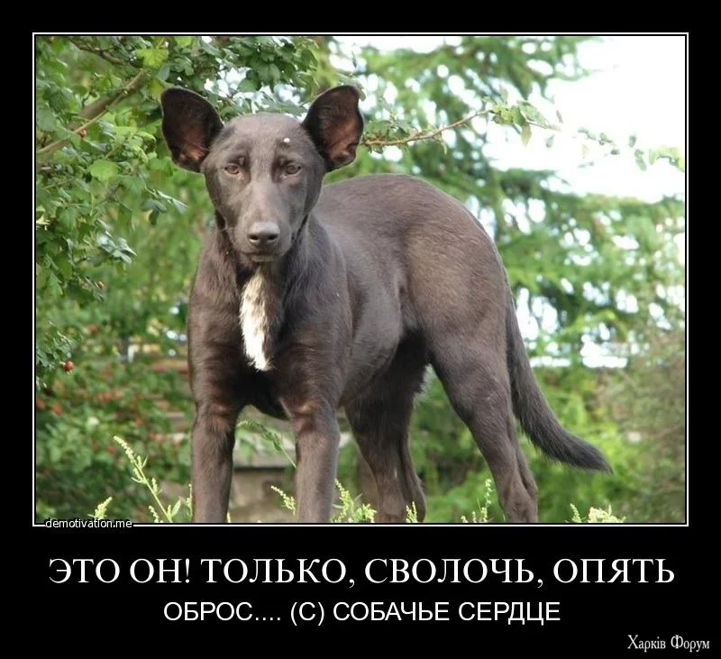 wzjrst495bxu.webp