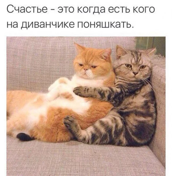 X-ddAwXWeF0.webp