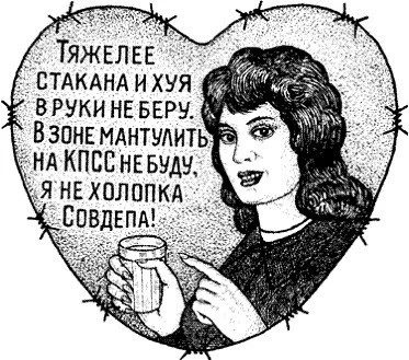 X-U8MYrP4O4.webp