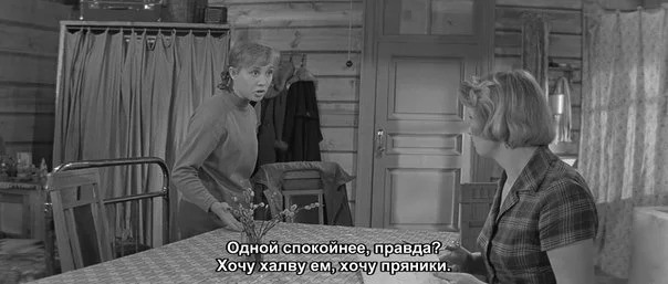 X_-X-FLGAek.webp