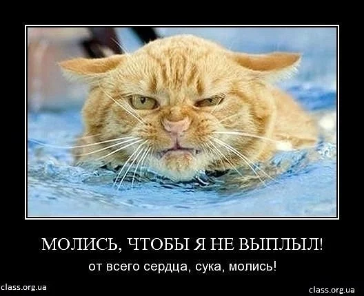 x_19bc575c.webp