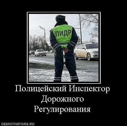 x_231cf474.webp
