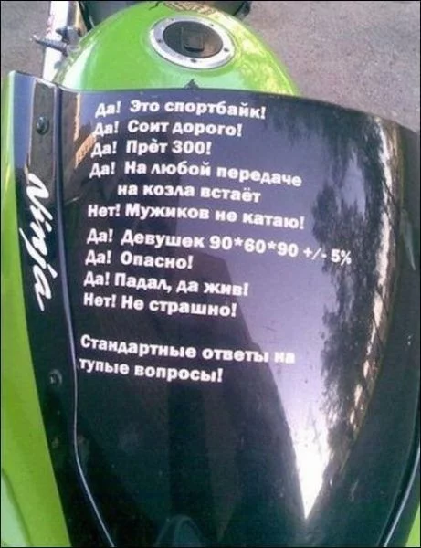 x_33f8499b.webp