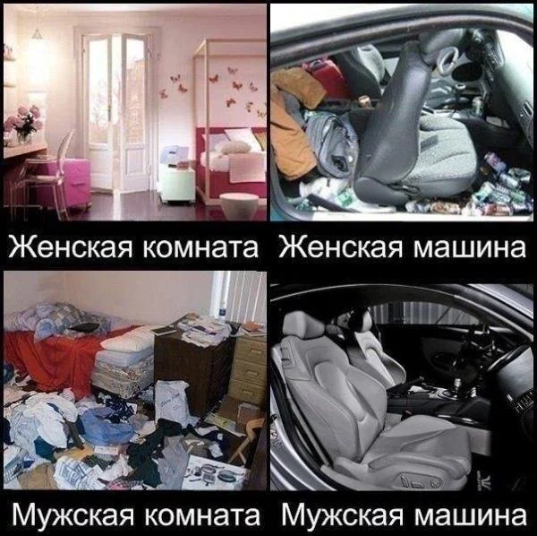 x_386c8409.webp