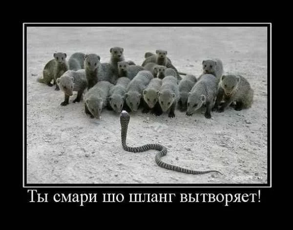 x_3cc83fa8.webp
