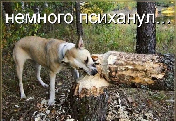 x_3df7c732.webp