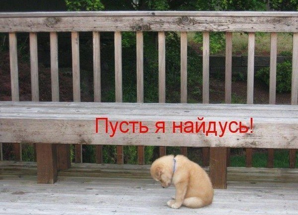 x_4889059b.jpg