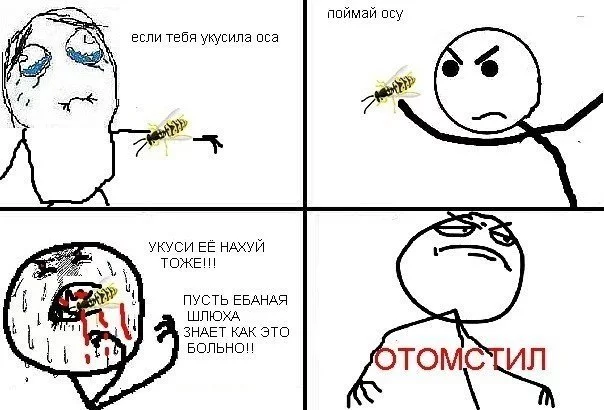 x_51a3e88e.webp