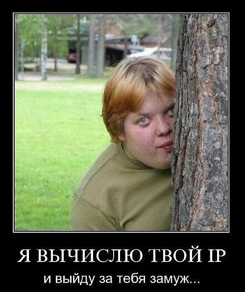 x_5545a310.webp