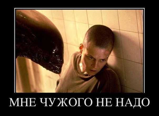 x_57a349cb.jpg