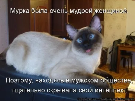 x_5855ad37.webp