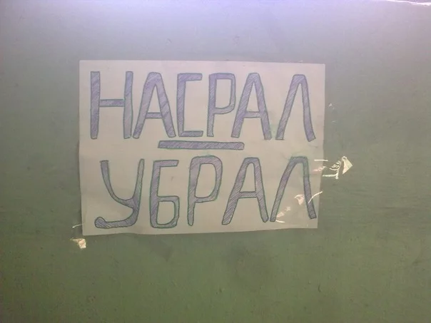 x_5dab252d.webp