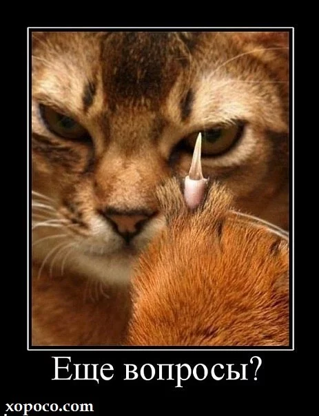 x_5ee29b76.webp