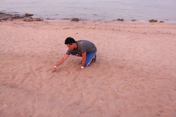 x_6237e6f8.webp