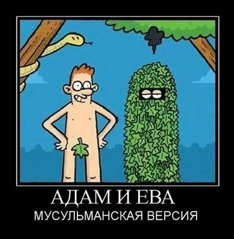 x_645ac6f6.webp