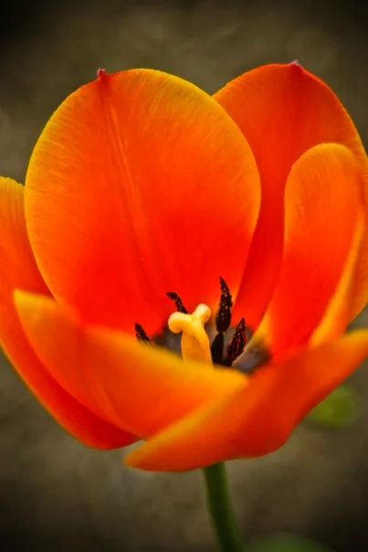x_689d555b.webp