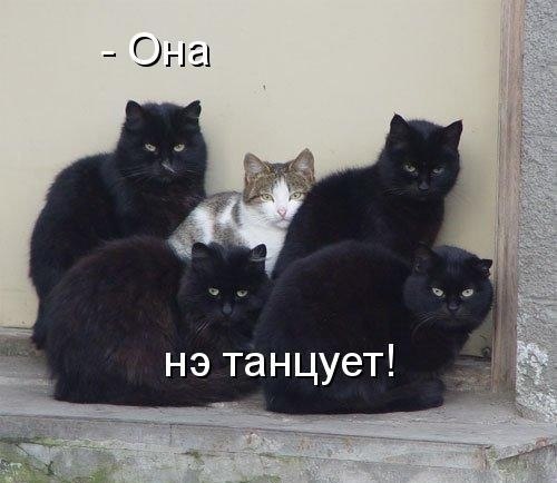 x_6a1367b0.jpg