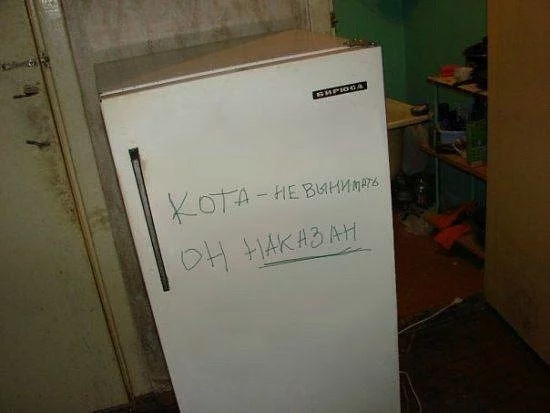 x_6a8b0063.webp