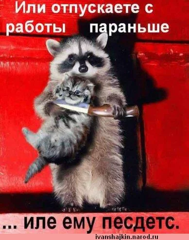 x_73c6b886.webp