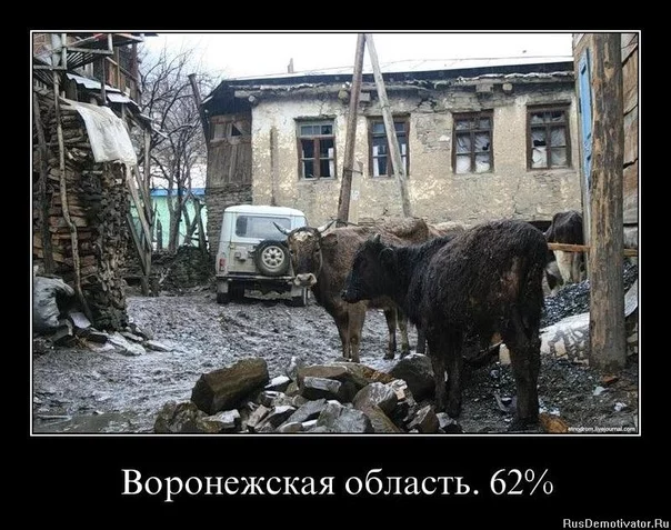 x_7480bc20.webp