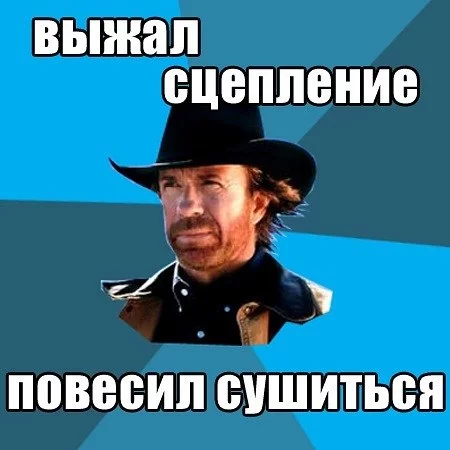 x_91564988.webp