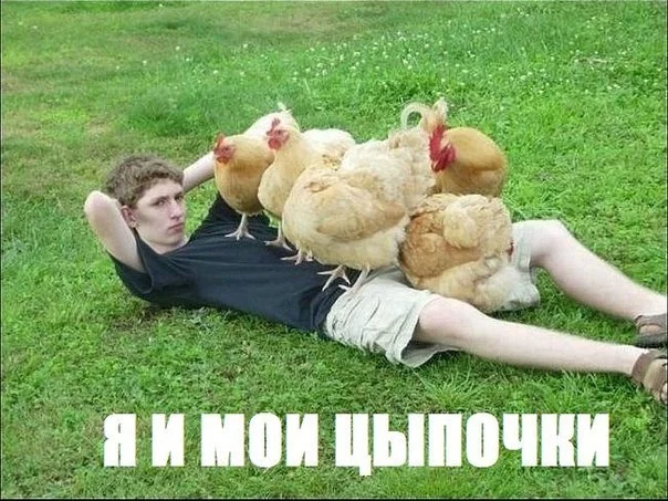 x_92d1aa75.webp