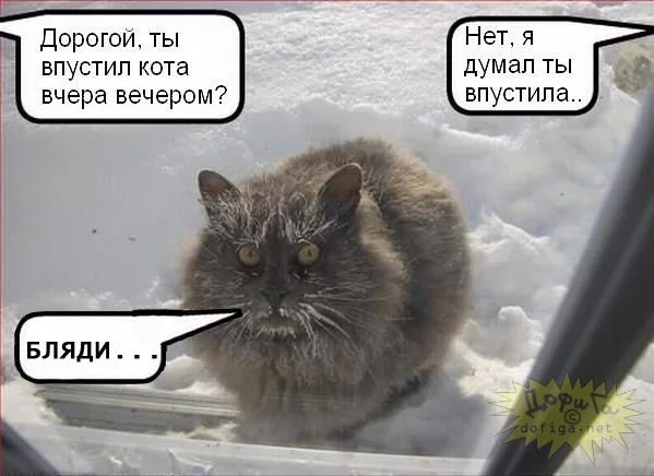 x_abc539a1.webp