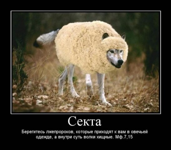 x_ad373a20.jpg