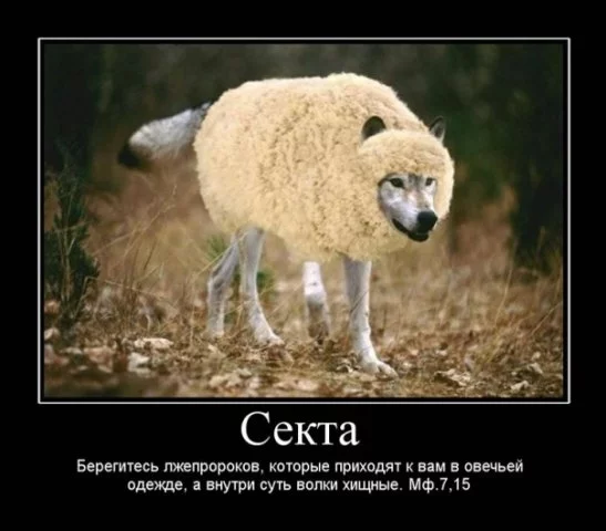 x_ad373a20.webp