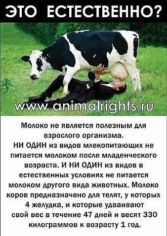 x_d73fff5e.webp