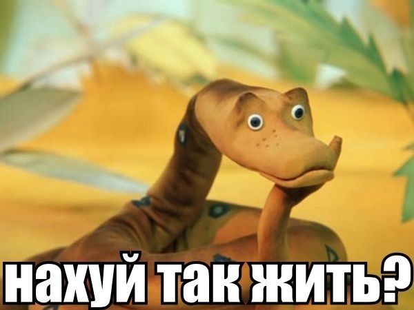 x_dea701d7.jpg